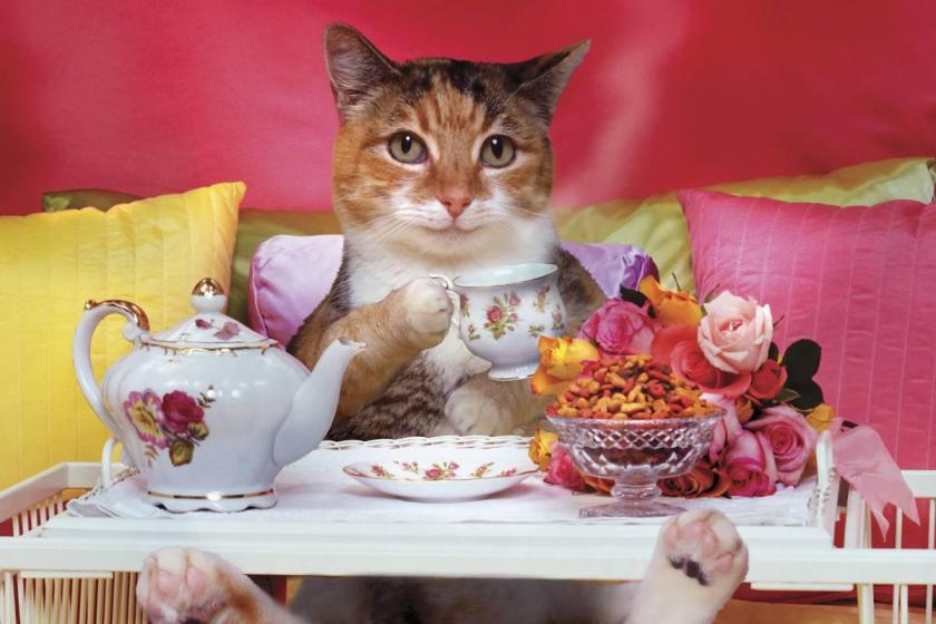 Tea-Time-Wallpapers-14